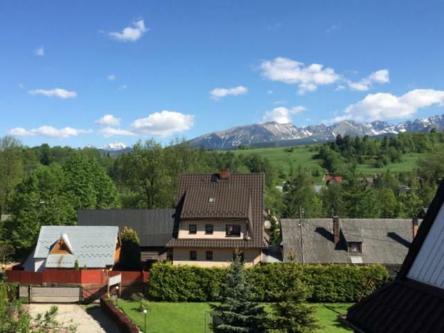 Rokita * Zakopane